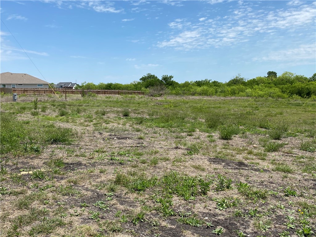 210 East Ridge Lane Kyle, TX 78640 - Photo 1 of 1 Gallery Image 1