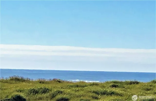 a view of a green field