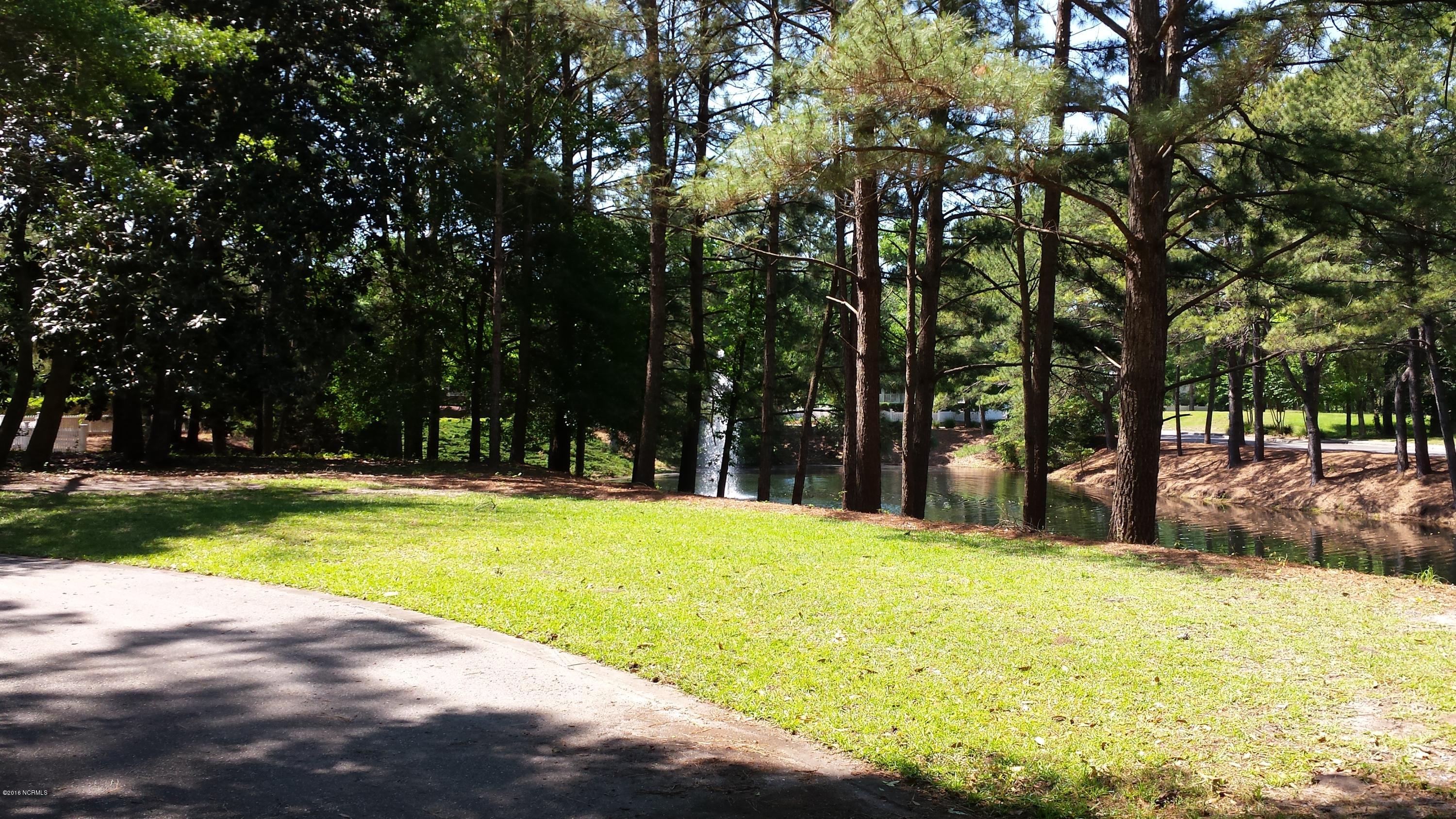 9200 Horseshoe Lake Road Southwest Calabash, NC 28467 - Photo 7 of 49 Pond view with fountain