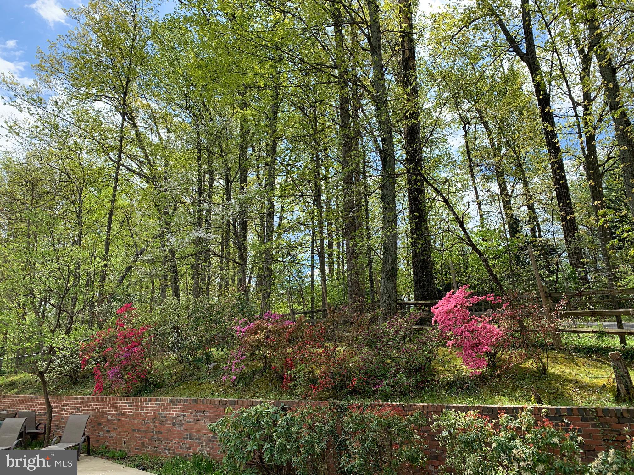 3 Willowbrook Court Potomac, MD 20854 - Photo 45 of 45