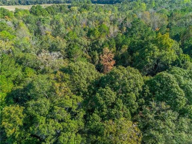 $195,000 | 6324 Bailey Road, Blackshear, GA 31516