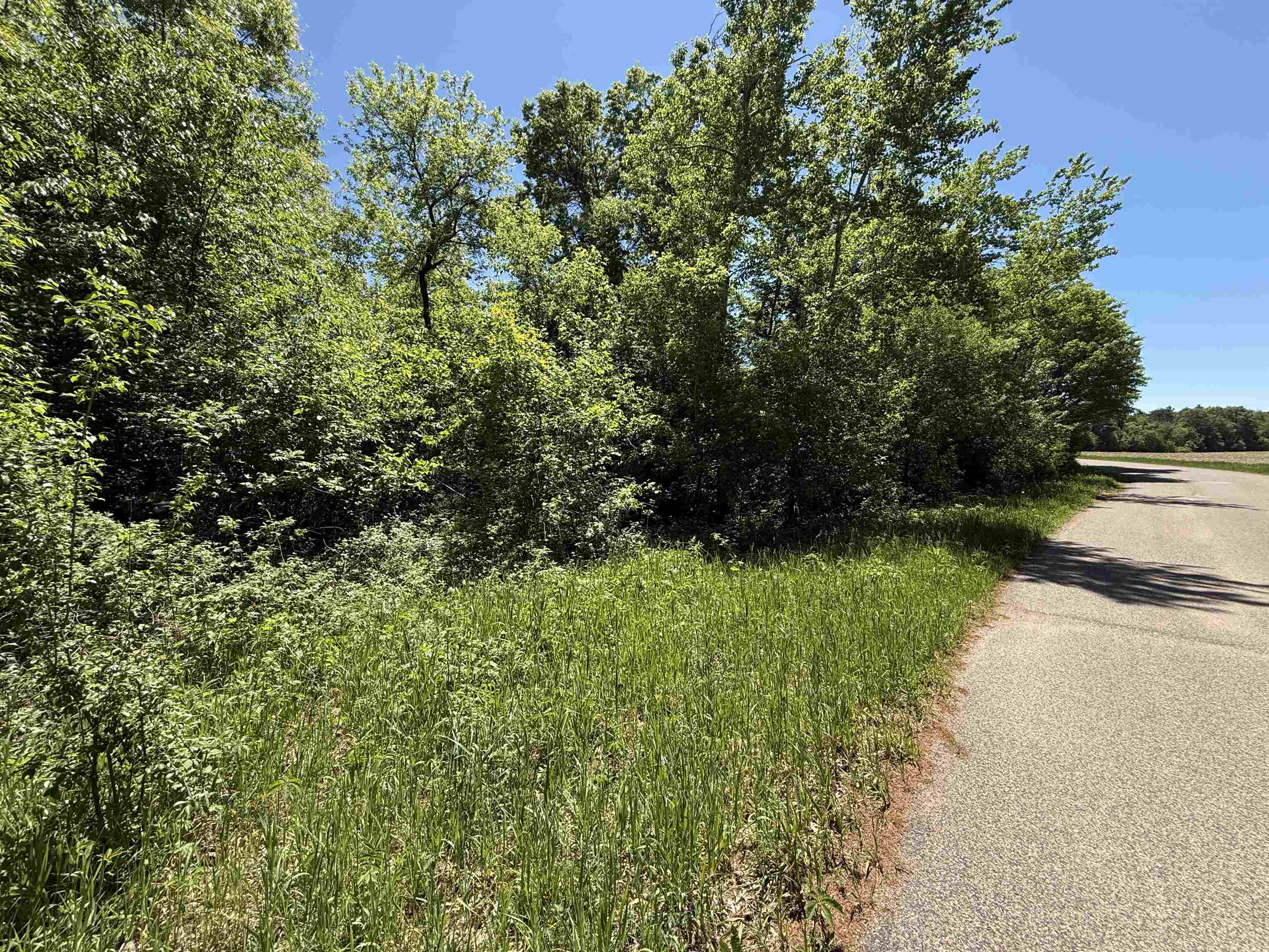 Lot 16 Arrowhead Road Amherst Junction, WI 54407 - Photo 3 of 17