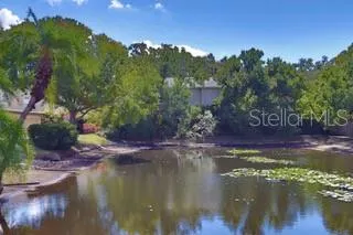 a view of swimming pool with a yard