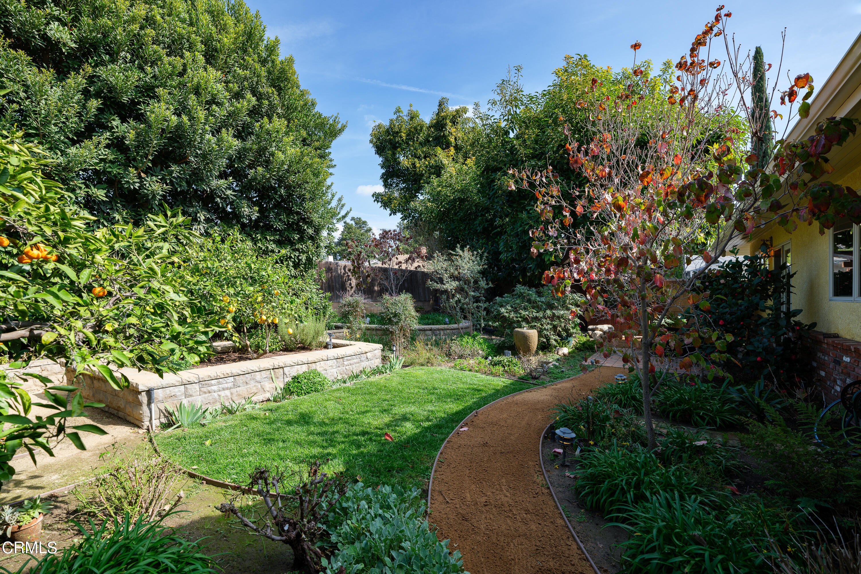 525 Verner Circle Arcadia, CA 91006 - Photo 37 of 45 a view of a yard with plants and large trees