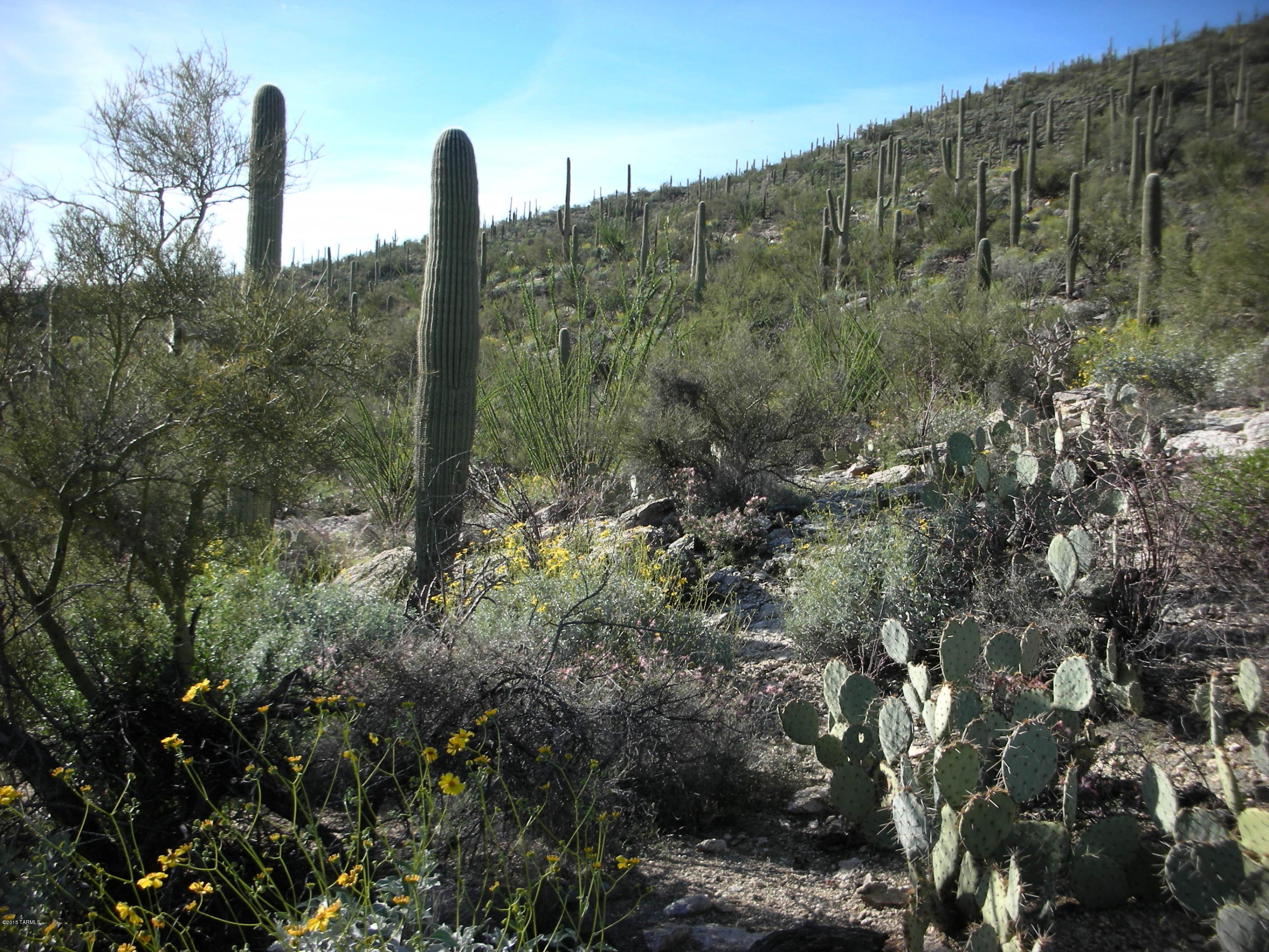West Rhyolite Loop Tucson, AZ 85745 - Photo 4 of 12