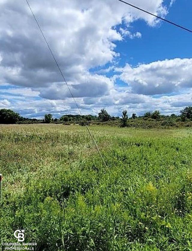0 Brown City Road Imlay City, MI 48444 - Photo 2 of 10