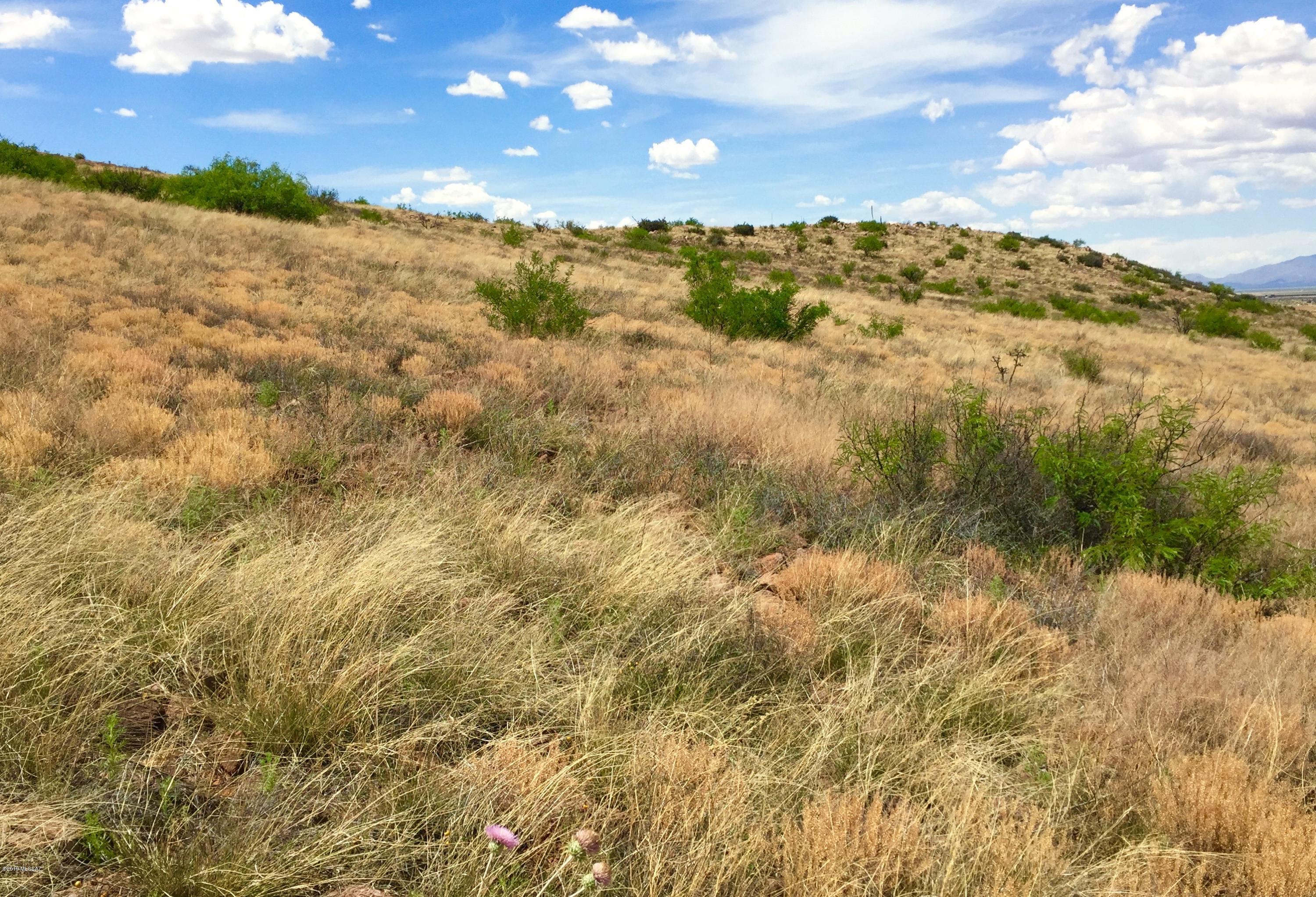 39.54 Ac Ranch, Unit 154 Pearce, AZ 85625 - Photo 38 of 50 Gallery Image 38