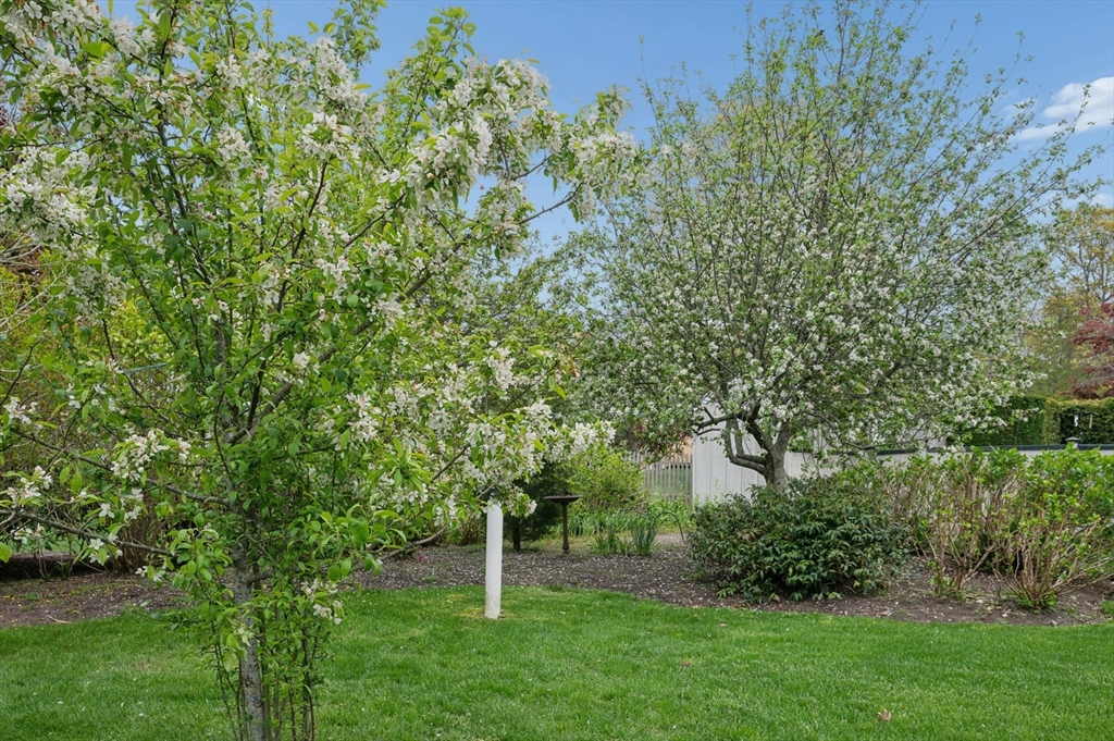 8 Viking Rock Road Yarmouth, MA 02664 - Photo 27 of 40