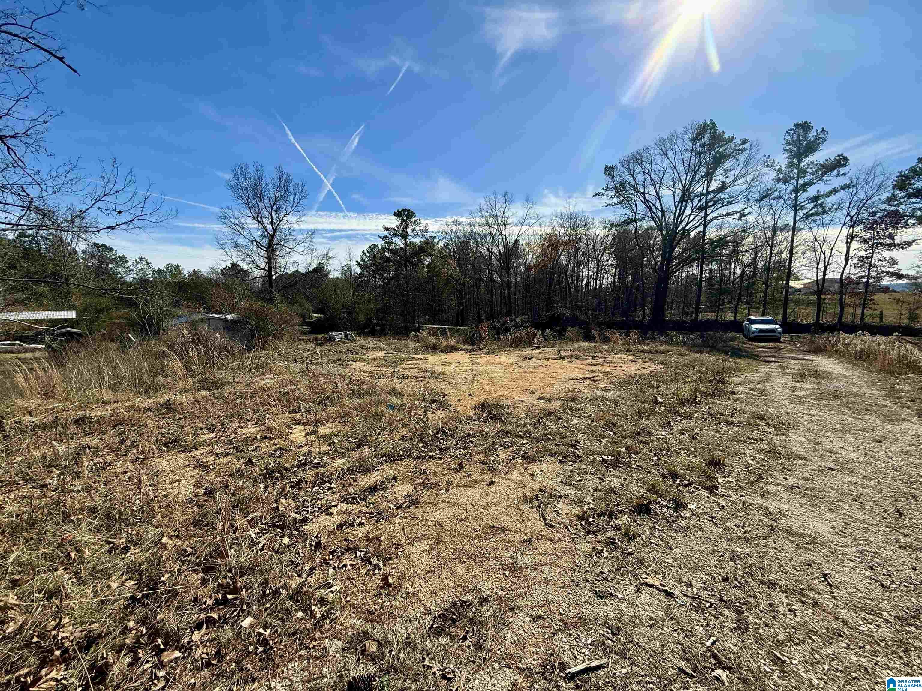 196 Arco Dairy Road Alpine, AL 35014 - Photo 1 of 7