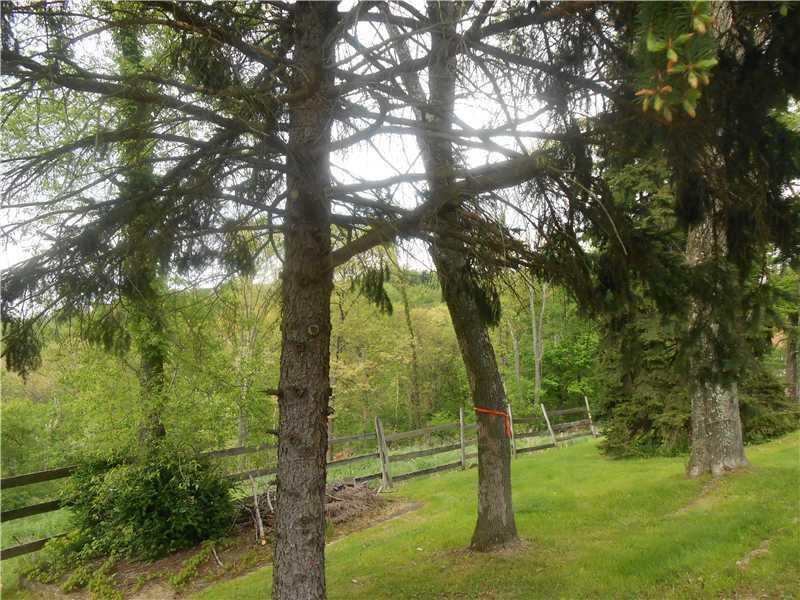 2312 Dellenbaugh Road Tarentum, PA 15084 - Photo 17 of 23 Land.