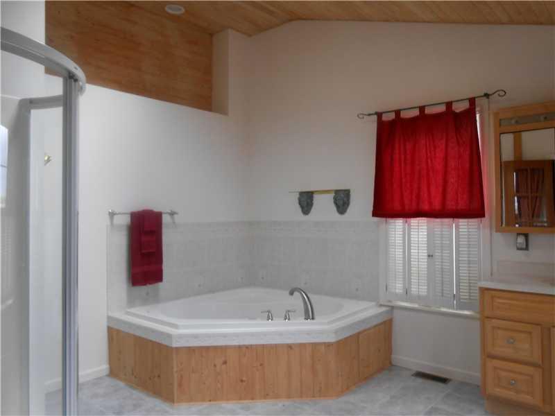2312 Dellenbaugh Road Tarentum, PA 15084 - Photo 9 of 23 Master Bath/Spa.