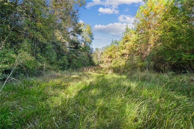 0 Highway 62 Angie, LA 70426 - Photo 13 of 16