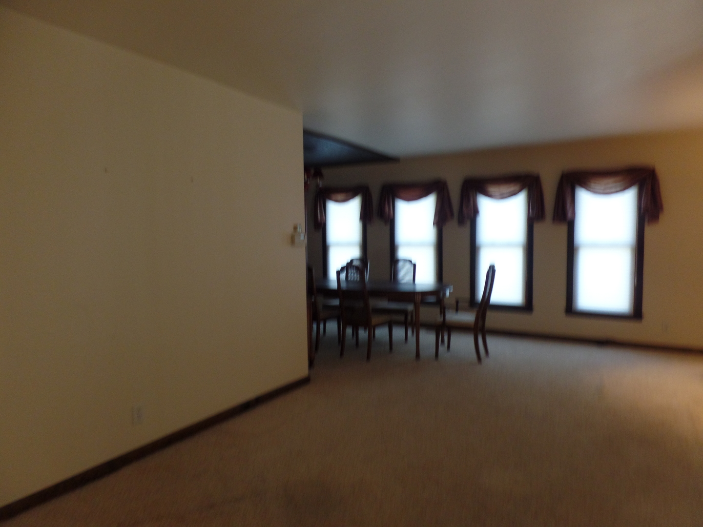 325 North Pinecrest Road Bolingbrook, IL 60440 - Photo 7 of 22