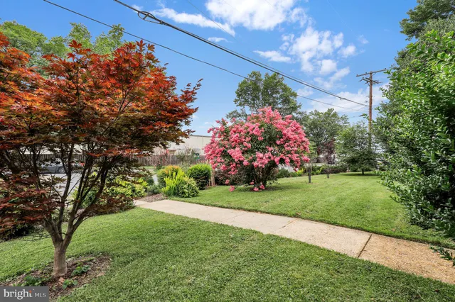 a view of a garden and flowers