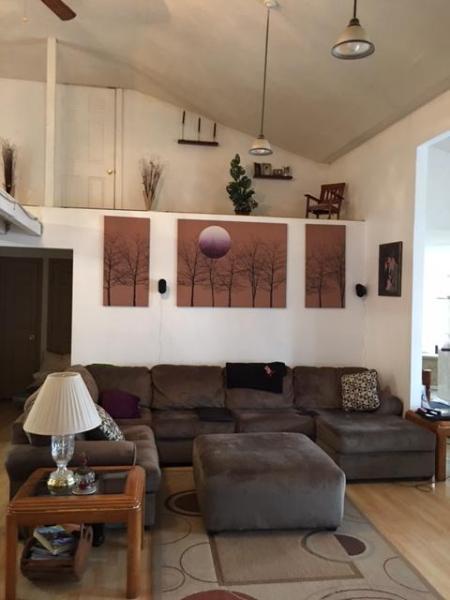 2707 Northridge Road Hardy, VA 24101 - Photo 4 of 20 Living room new