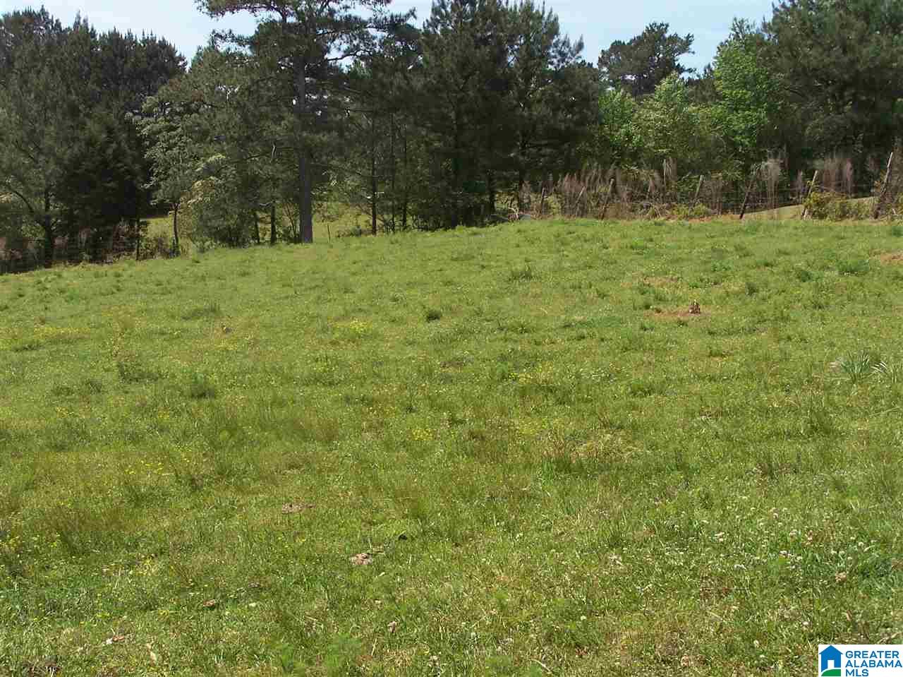 2270 Elvester Road Warrior, AL 35180 - Photo 20 of 31
