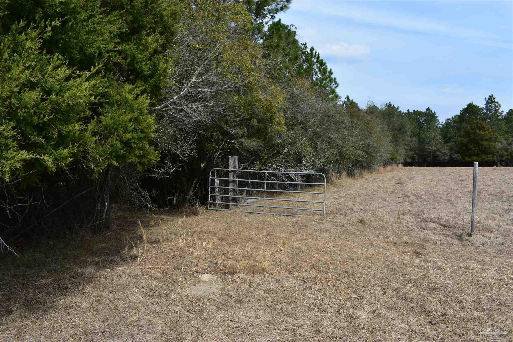 0 Pat Brown Road Milton, FL 32570 - Photo 22 of 30 Gallery Image 22