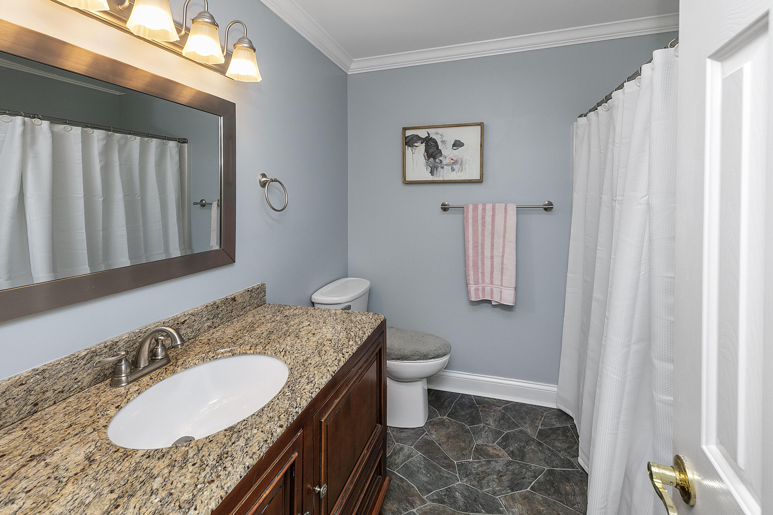 211 Alpine Drive Clinton, TN 37716 - Photo 33 of 40 1L9A3233