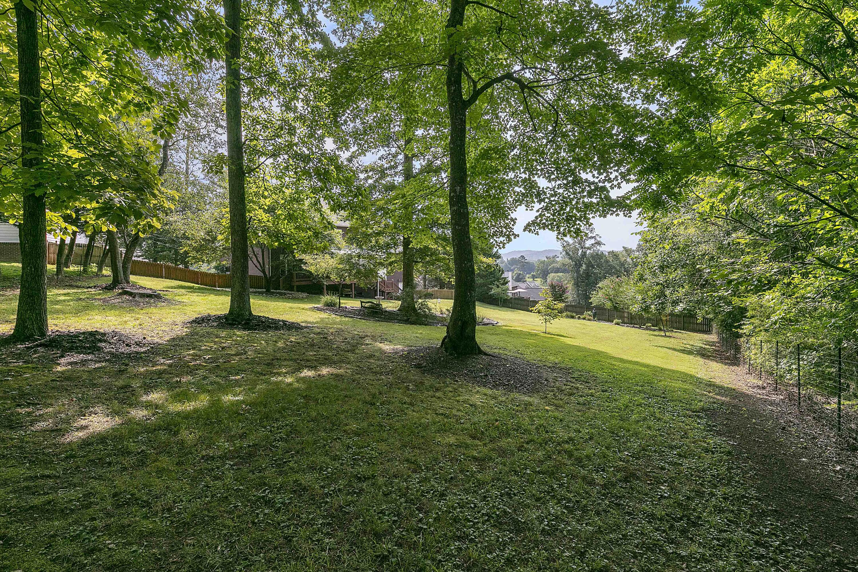 211 Alpine Drive Clinton, TN 37716 - Photo 39 of 40 1L9A3243