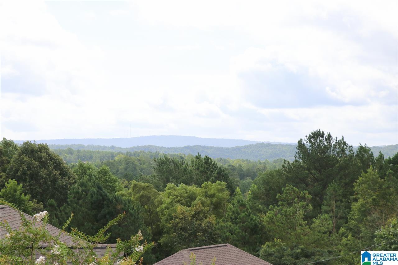 110 Acton Loop Moody, AL 35004 - Photo 4 of 31