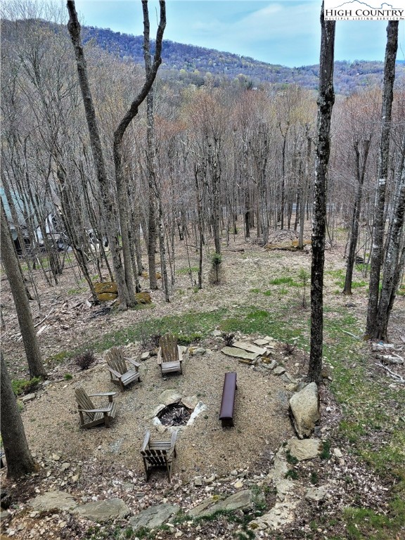 143 Tamarack Road Beech Mountain, NC 28604 - Photo 15 of 47 a view of a backyard with table and chairs