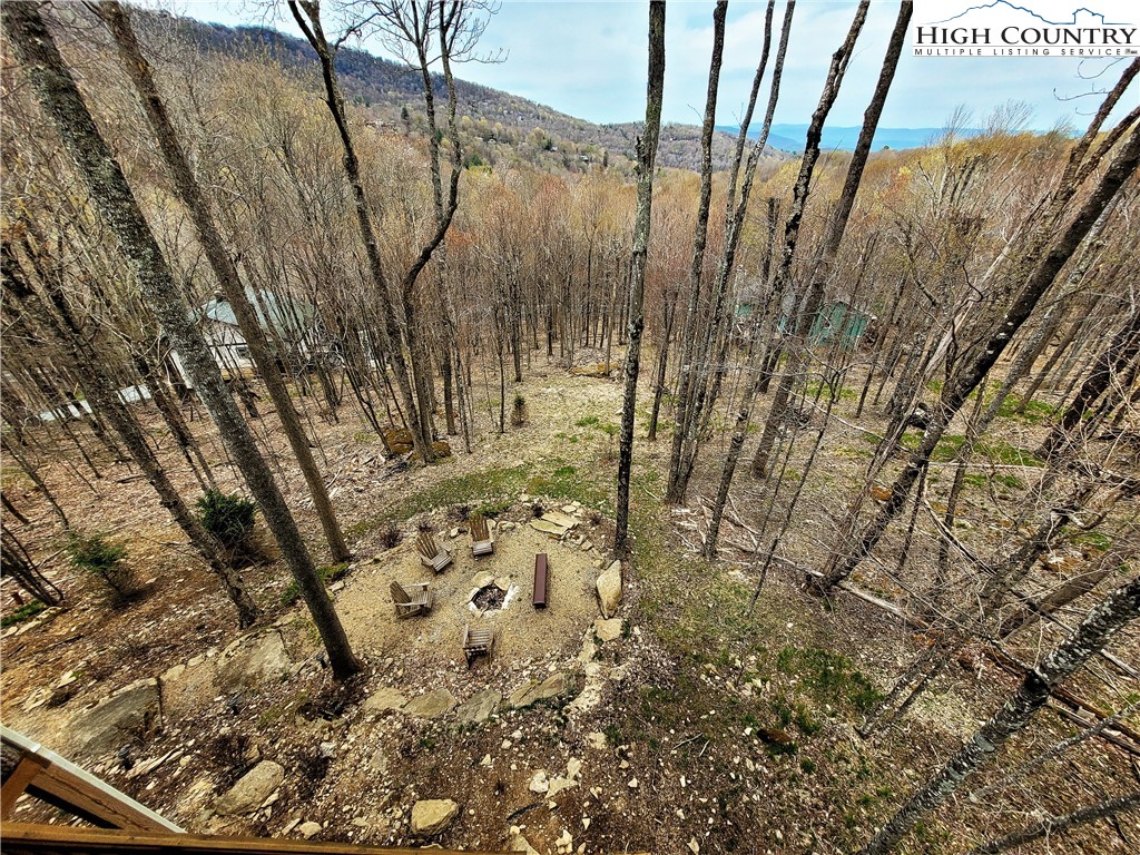 143 Tamarack Road Beech Mountain, NC 28604 - Photo 34 of 47 a view of a backyard