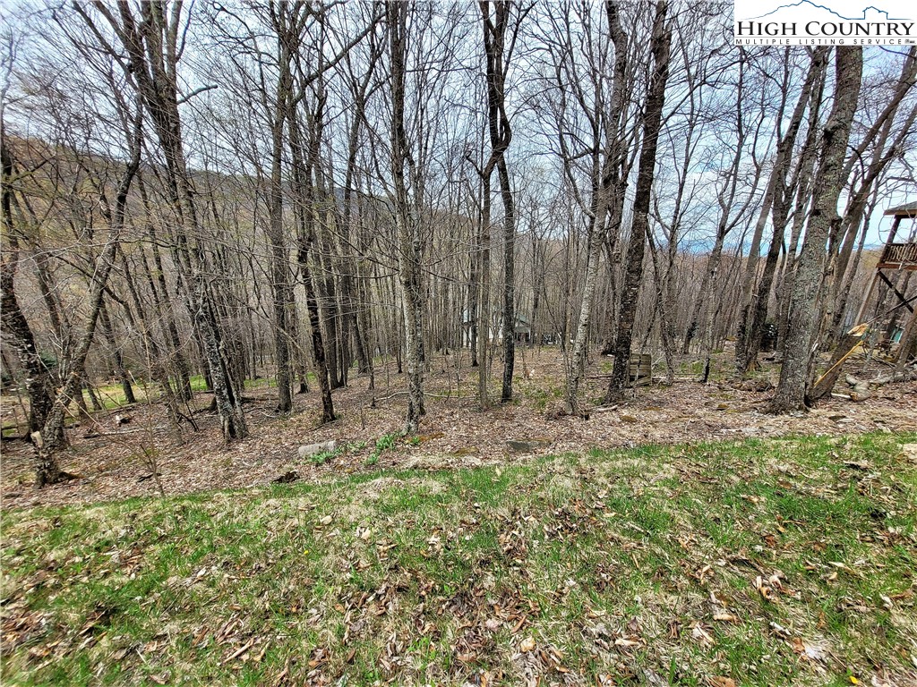 143 Tamarack Road Beech Mountain, NC 28604 - Photo 36 of 47 a backyard of a house with lots of green space