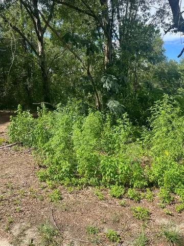 $22,000 | 5325 Northwest 7th Street, Ocala, FL 34482