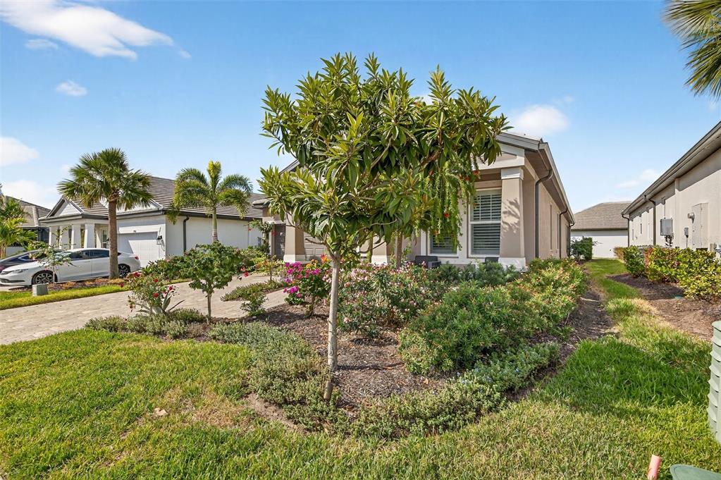 17744 Savory Mist Circle Lakewood Ranch, FL 34211 - Photo 55 of 55 a front view of a house with garden