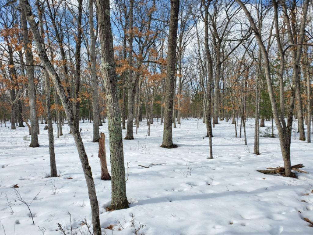Dexter Road Wellston, MI 49689 - Photo 8 of 8