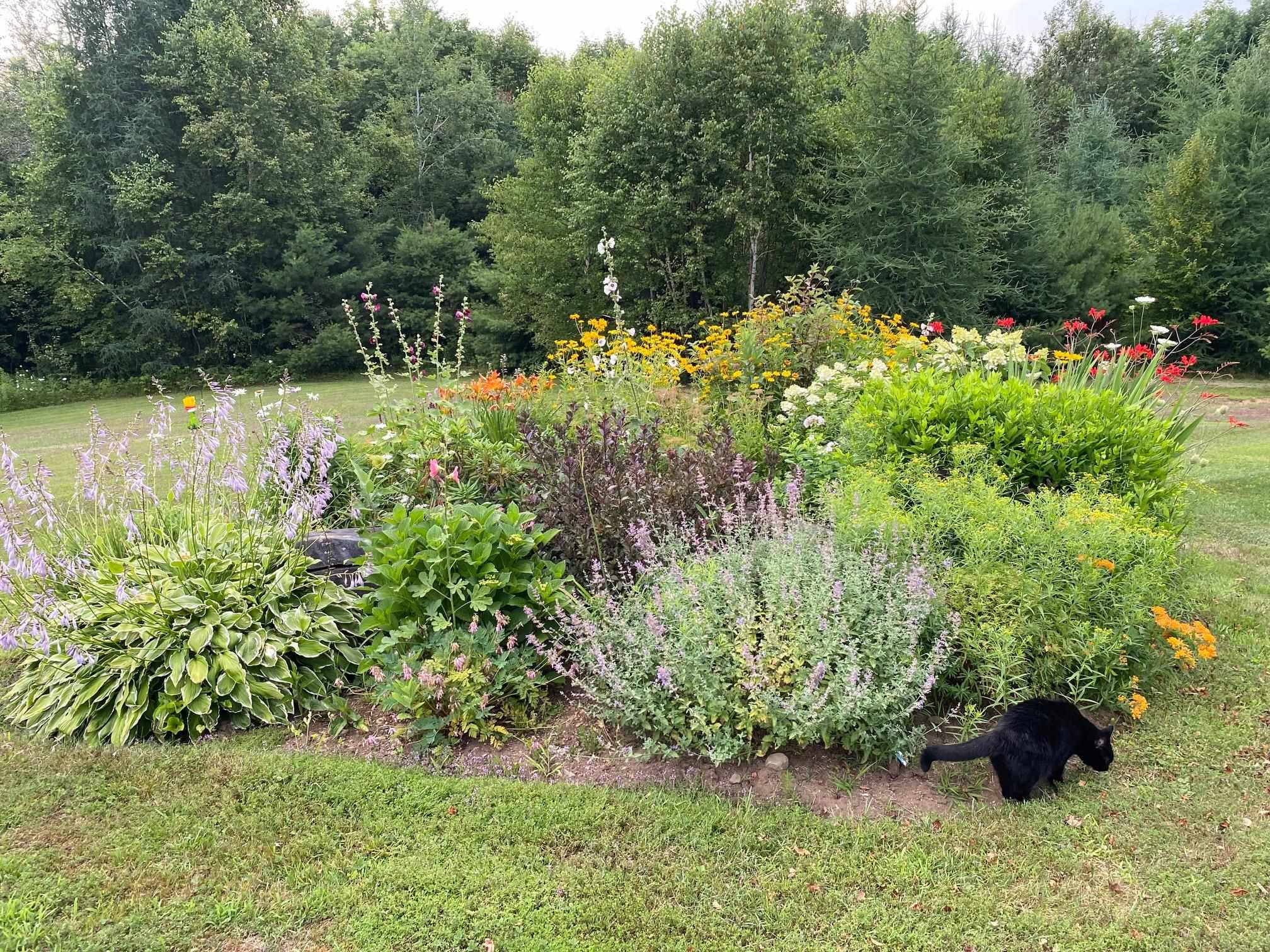 1271 Joes Brook Road Danville, VT 05828 - Photo 54 of 59