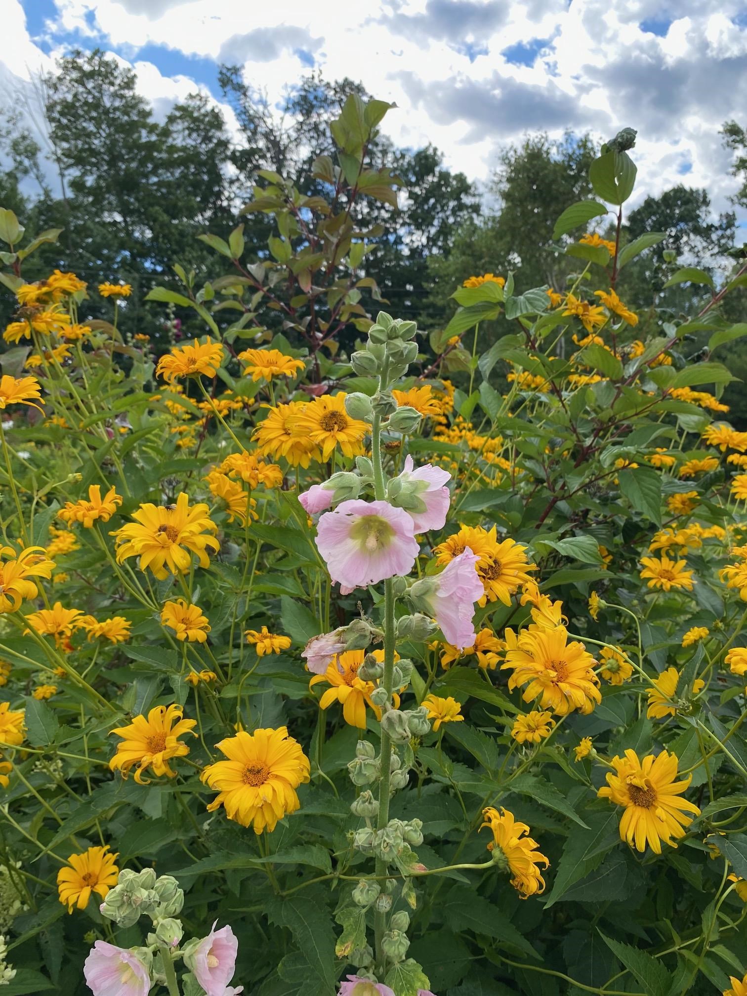 1271 Joes Brook Road Danville, VT 05828 - Photo 55 of 59