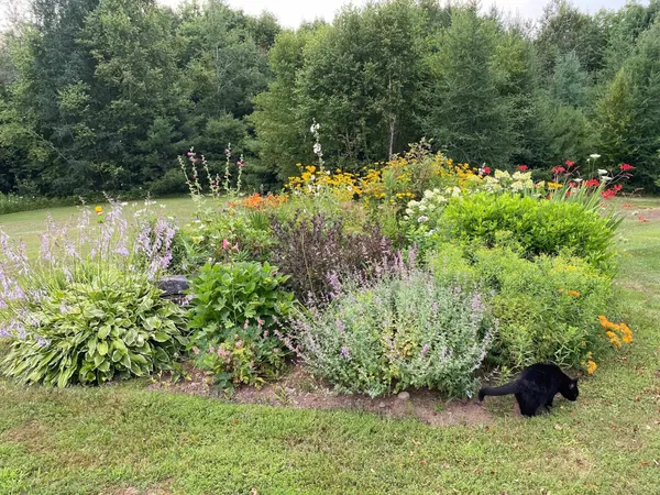 $589,000 | 1271 Joes Brook Road, Danville, VT 05828