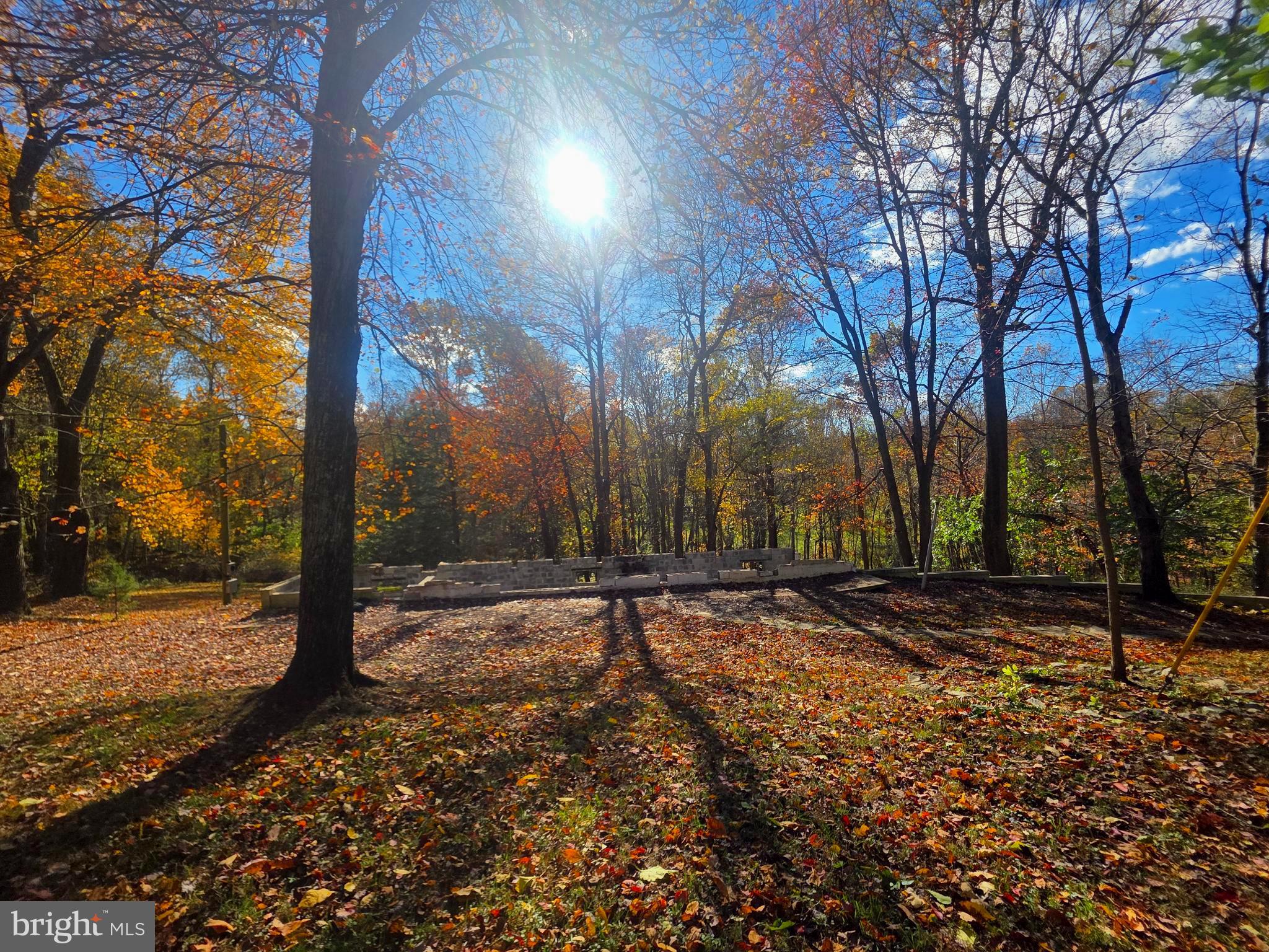 a view of a street with a tree