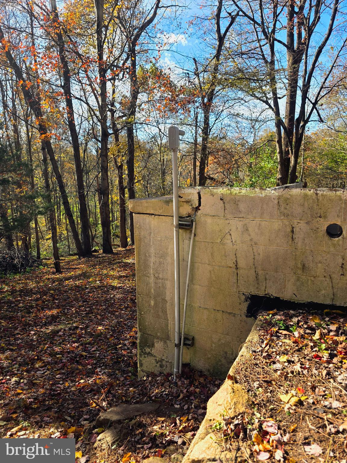 257 Wiley Mill Road New Park, PA 17352 - Photo 4 of 7 a view of a yard with large trees