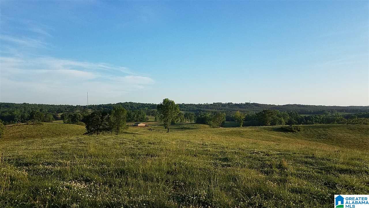 31 County Road Ashland, AL 36251 - Photo 19 of 38