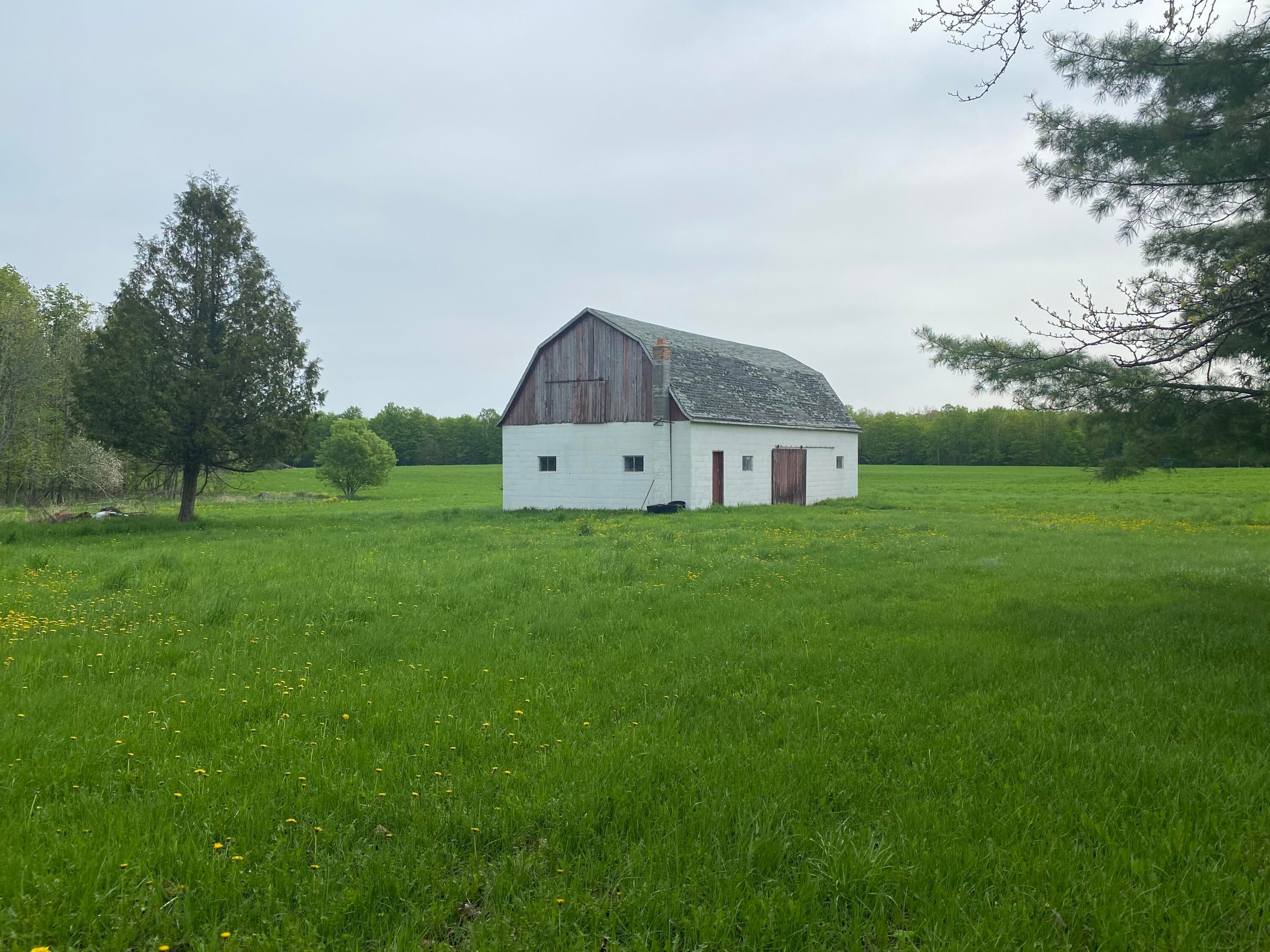 9079 Keeling Road Posen, MI 49776 - Photo 29 of 30 Gallery Image 29