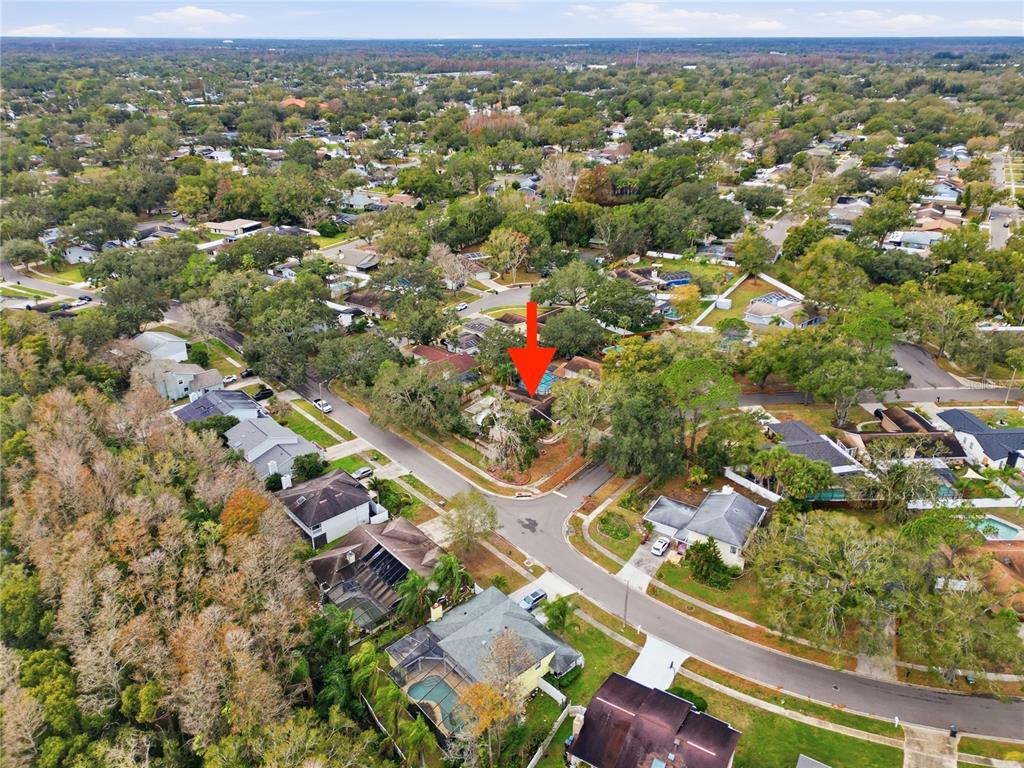 4602 Buckeye Road Tampa, FL 33624 - Photo 33 of 36 an aerial view of residential houses with outdoor space