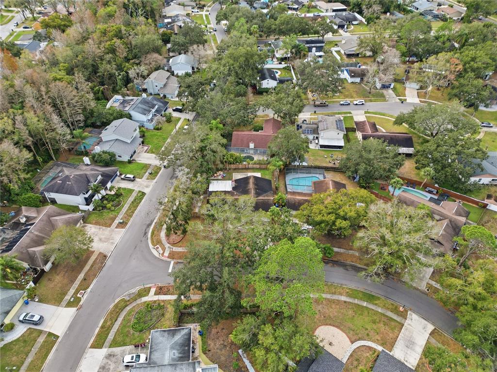 4602 Buckeye Road Tampa, FL 33624 - Photo 34 of 36 an aerial view of multiple house