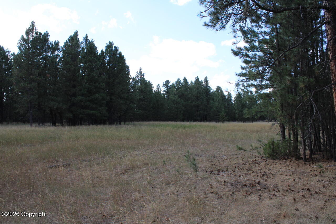 Lot 11 Bruin Road Alzada, MT 59311 - Photo 39 of 51 Gallery Image 39