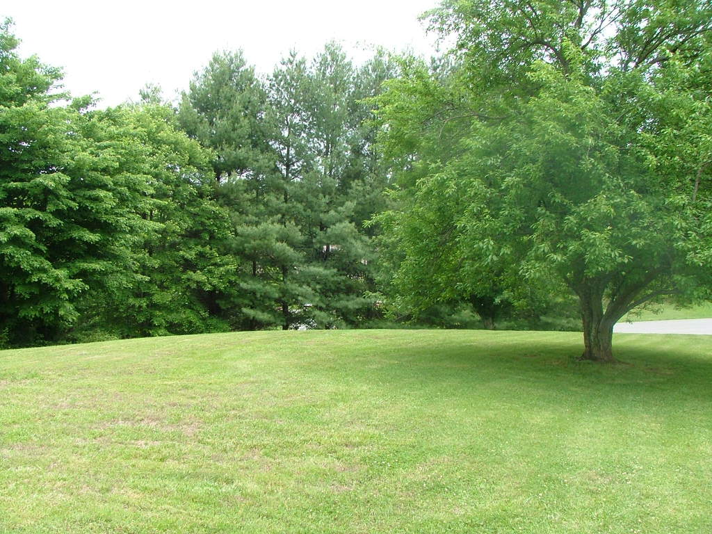 835 Falcon Ridge Road Rocky Mount, VA 24151 - Photo 8 of 8 a view of lawn with a yard