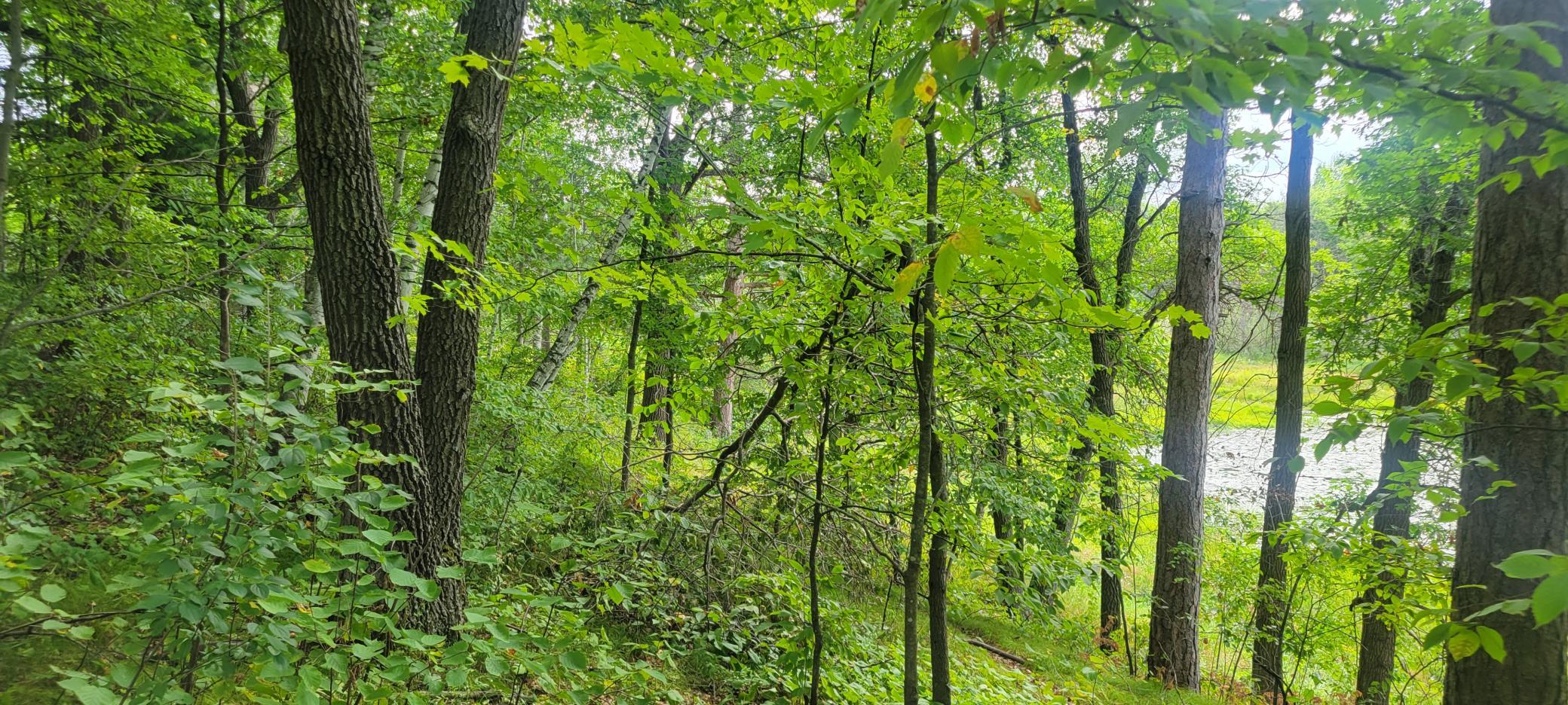 Tbd Cedar Road Cushing, MN 56443 - Photo 10 of 14 Gallery Image 10