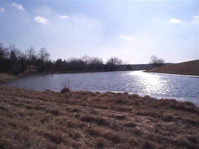 0 490th Road Strafford, MO 65757 - Photo 1 of 1 Primary Photo