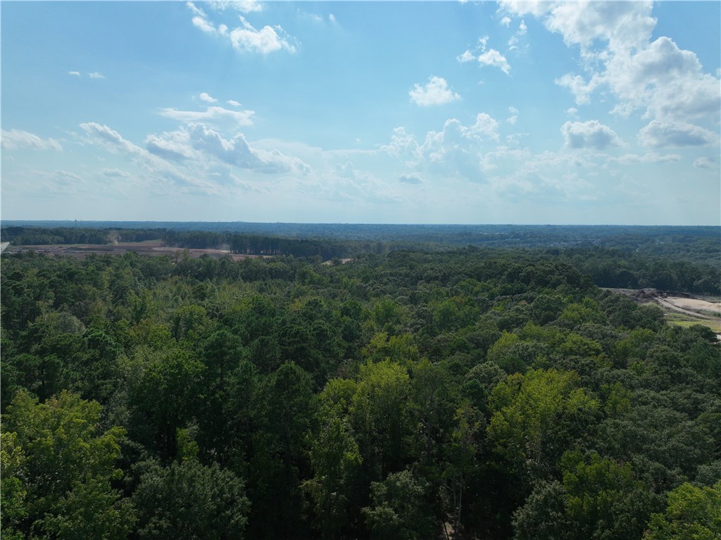 1425 Amity Road Anderson, SC 29621 - Photo 28 of 31