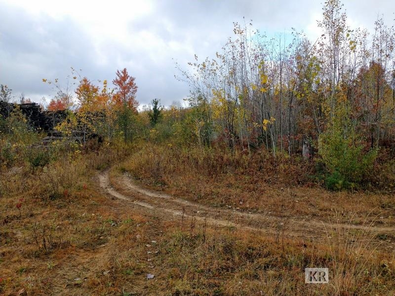 80-acres Wieman Road Gladwin, MI 48624 - Photo 7 of 28 Gallery Image 7
