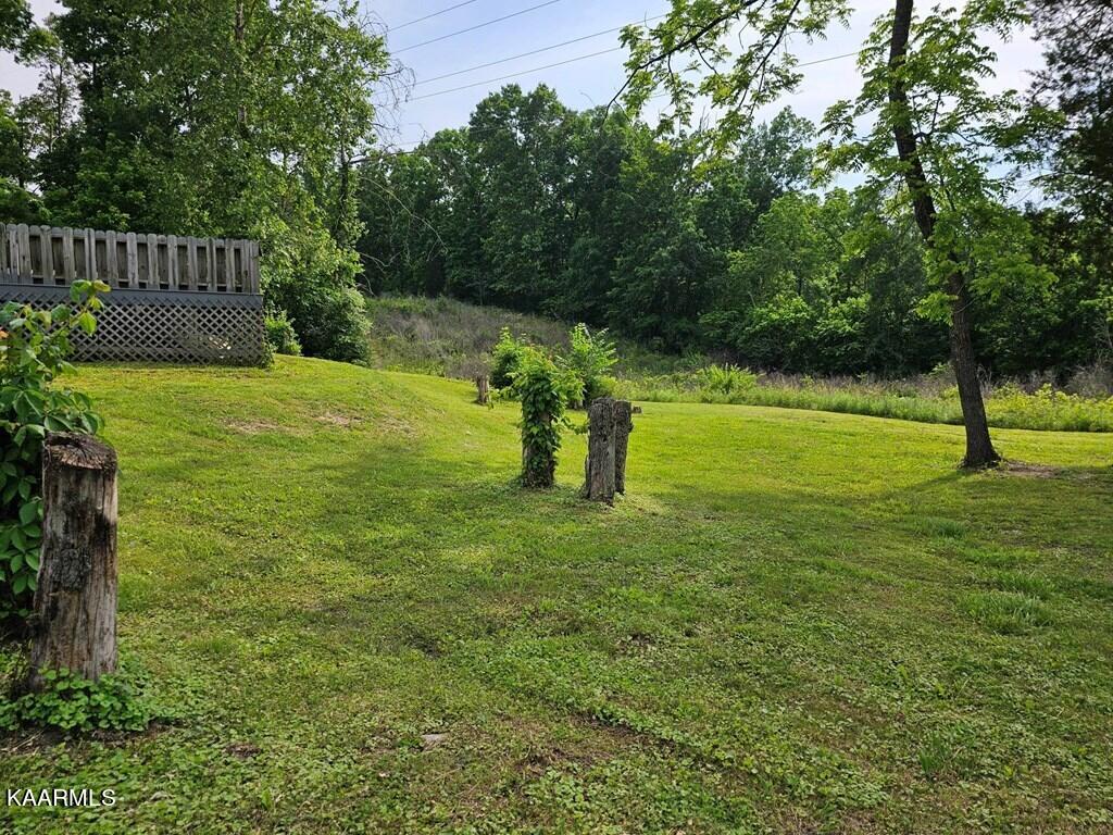 1615 Edds Road Knoxville, TN 37914 - Photo 11 of 54 e11
