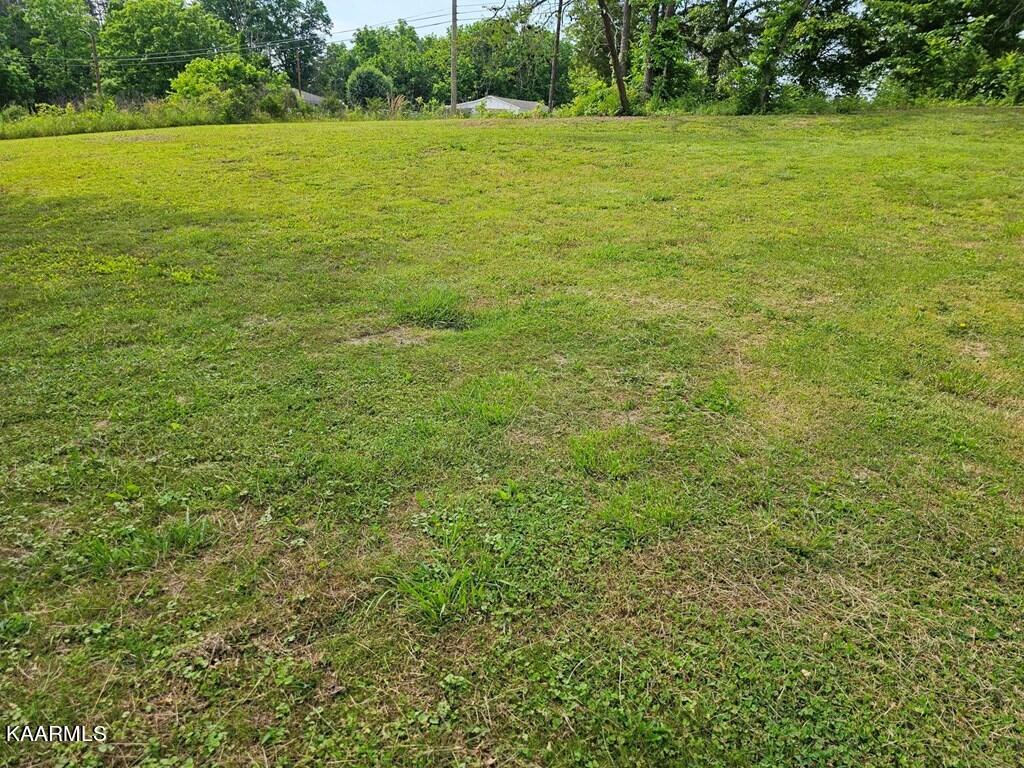 1615 Edds Road Knoxville, TN 37914 - Photo 12 of 54 e12