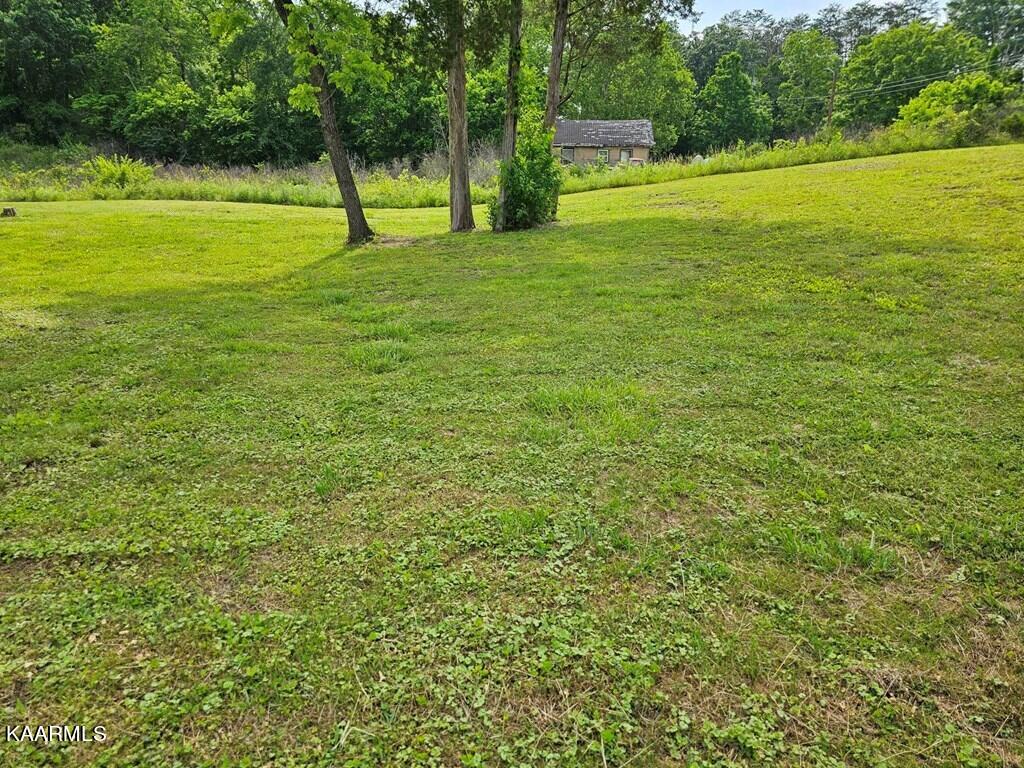 1615 Edds Road Knoxville, TN 37914 - Photo 13 of 54 e13