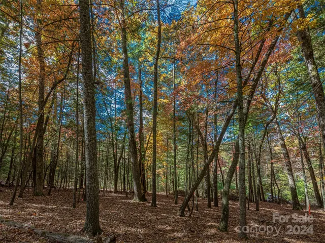 $505,000 | 99999 Racquet Club Road, Unit 2, Asheville, NC 28803