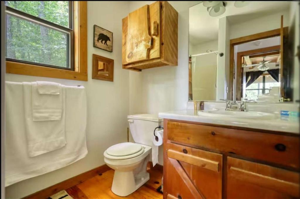 2531 Hunter Road Hiawassee, GA 30546 - Photo 19 of 30 a bathroom with a toilet sink vanity and mirror